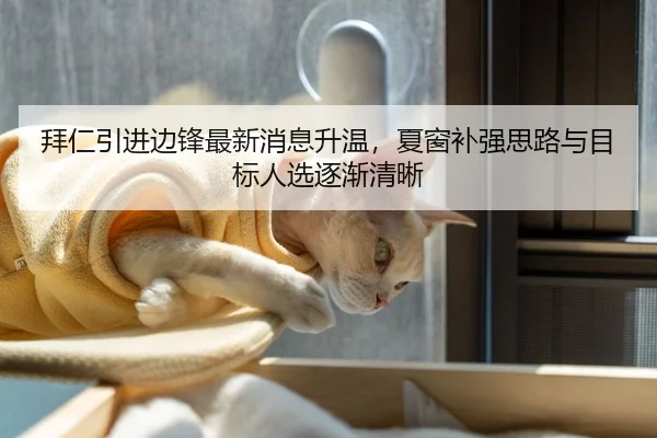 拜仁引进边锋最新消息升温，夏窗补强思路与目标人选逐渐清晰